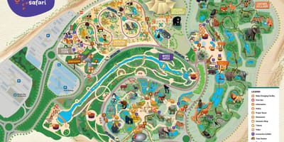 地図のドバイ動物園